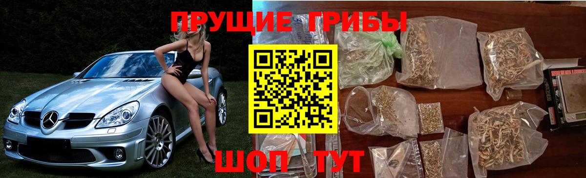 Псилоцибиновые грибы ЛСД Бирск