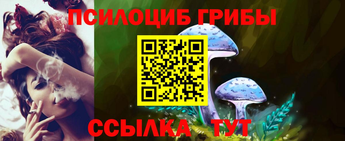 Галлюциногенные грибы GOLDEN TEACHER  Псилоцибиновые грибы Cubensis  Бирск  Вход с VPN 